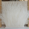 Ostrich feather White 8-10 / 10-15 / 15-18