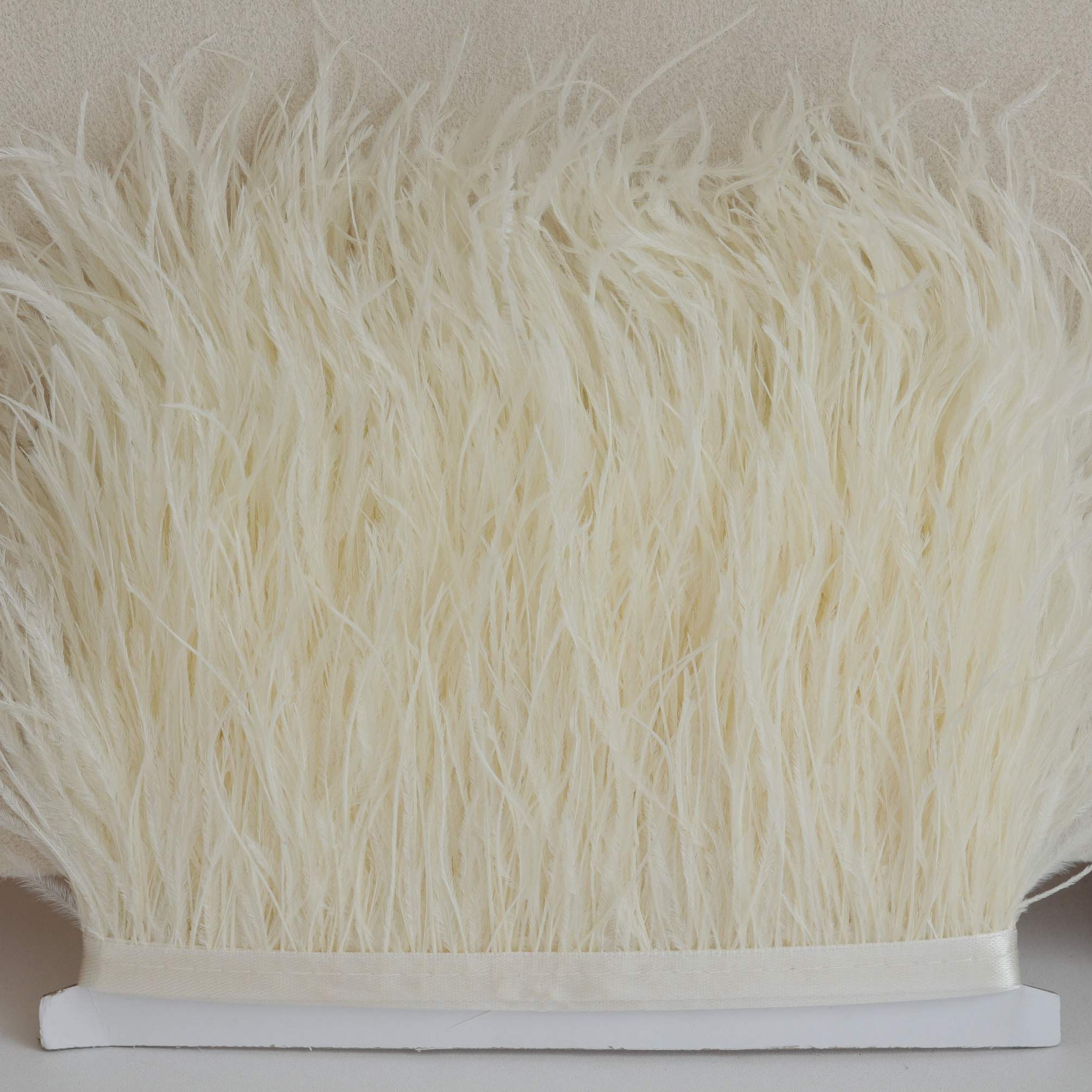 Ostrich feather Off-white 8-10 / 10-15 / 15-18